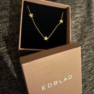 Guldigt halsband från Edblad - Supersnyggt halsband från Edblad heeelt nytt med prislapp på🥰🥰🥰passa på nu när det är fri frakt😍😍