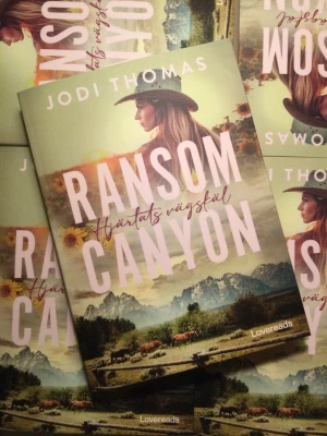 Hjärtats vägskäl av Jodi Thomas - Del 3 i Ransom Canyon bokserien🐎💕 Helt i nyskick, pocket📚 Pris på vanliga bokhandlar: ca 100-125 kr🕯 Det är bara att skriva om du har några frågor💕