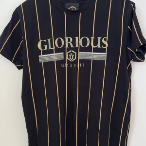 Svart randig t-shirt - En snygg svart med guldiga sträck T-shirt från Glorious Gangsta. Färgen har gått bort lite vid nacken pga solen (se bild). Inte något man märker om man ej riktigt fokuserar på det.  Har du några frågor eller vill ha fler bilder, tveka inte att fråga på!