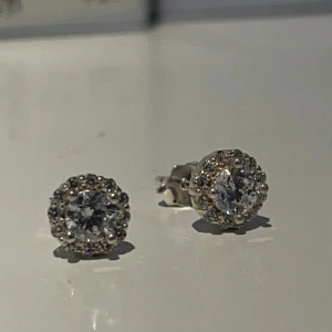 Glittriga örhängen i silver med stenar - Säljer ett par snygga örhängen i silverfärg med rund form och gnistrande stenar. De har en klassisk stiftmodell och är dekorerade med små glittrande stenar runt en större mittsten. Dessa är i ÄKTA silver. 