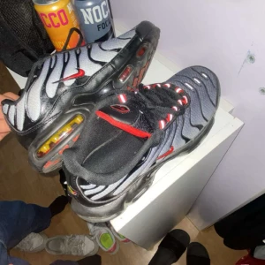 Nike Air Max Plus TN svart/röd/grå - Nike Air Max Plus TN sneakers med svart och grå mesh, röda detaljer och ikoniska vågformade linjer. Sulan har synliga Air-enheter och röda inslag undertill. Skorna har snörning och en sportig vibe, perfekt för dig som gillar streetwear.