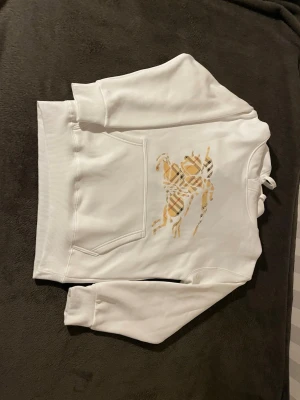 Burberry tröja - En väldigt fin burberry hoodie som sticker ut, är as bekvämt material men tyvärr så har jag ingen användning då den är mindre i storleken. 