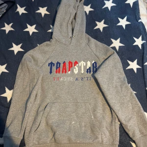 Trapstar hoodie - Trapstar Hoodie i storlek M har lite målarfärg på sig men det kan nog tas bort 