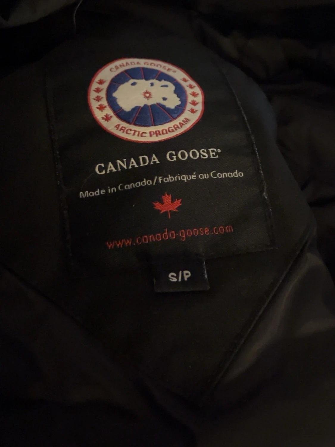  Canada Goose - 3