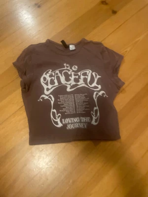 Brun croppad topp från H&M Divided - Säljer en brun croppad topp från H&M Divided i storlek S. Toppen har korta ärmar och ett coolt vitt tryck med texten 'be PEACEFUL LOVING THE JOURNEY' på framsidan. Perfekt för dig som gillar avslappnad och trendig stil.