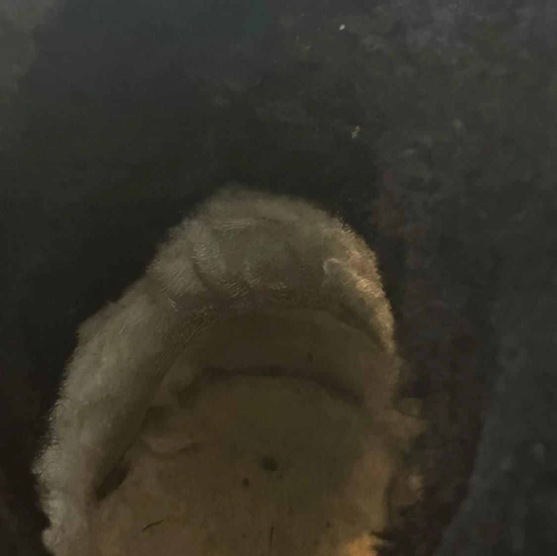 Svarta Inuikii moon boots i mocka - 4