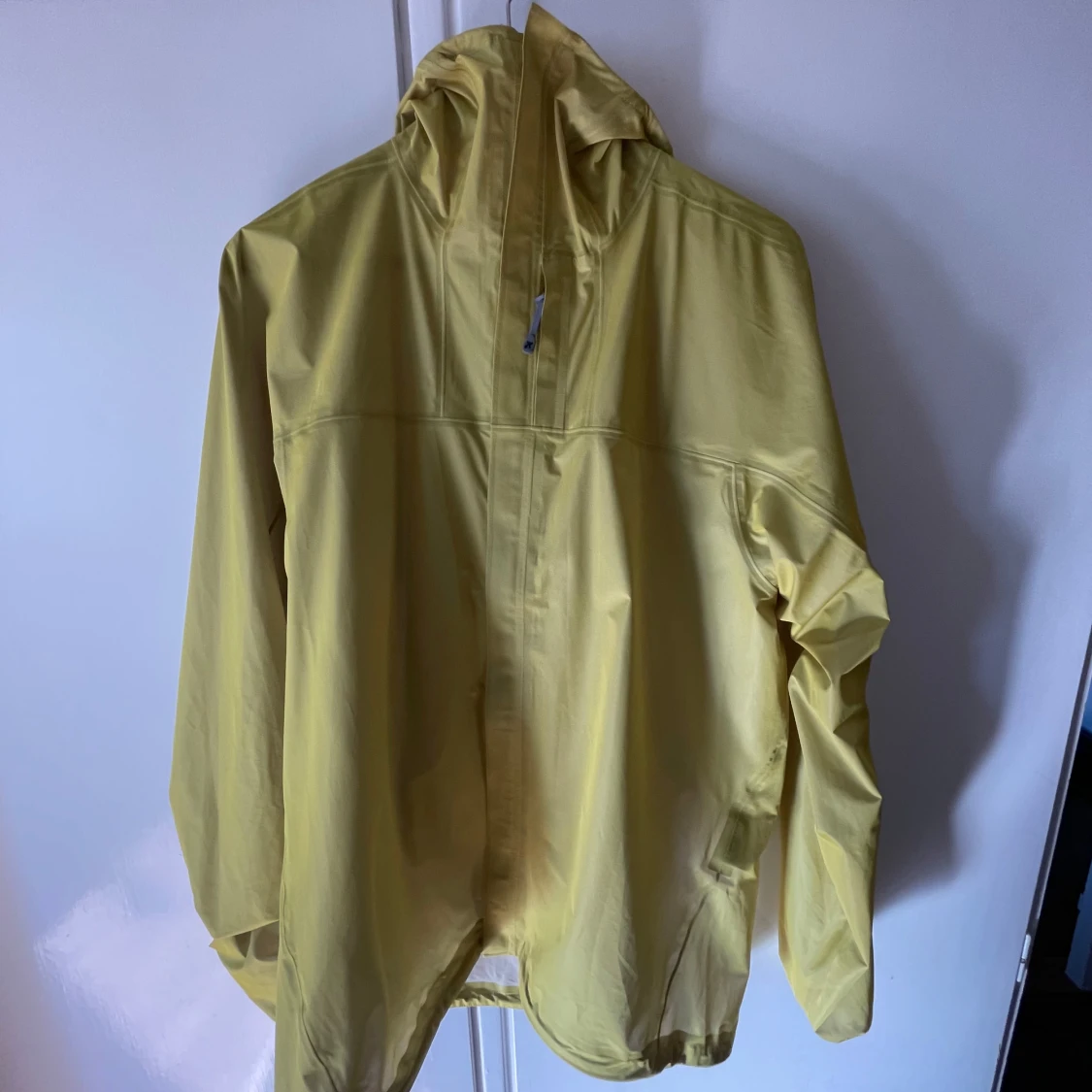 Houdini the orange jacket  - 1