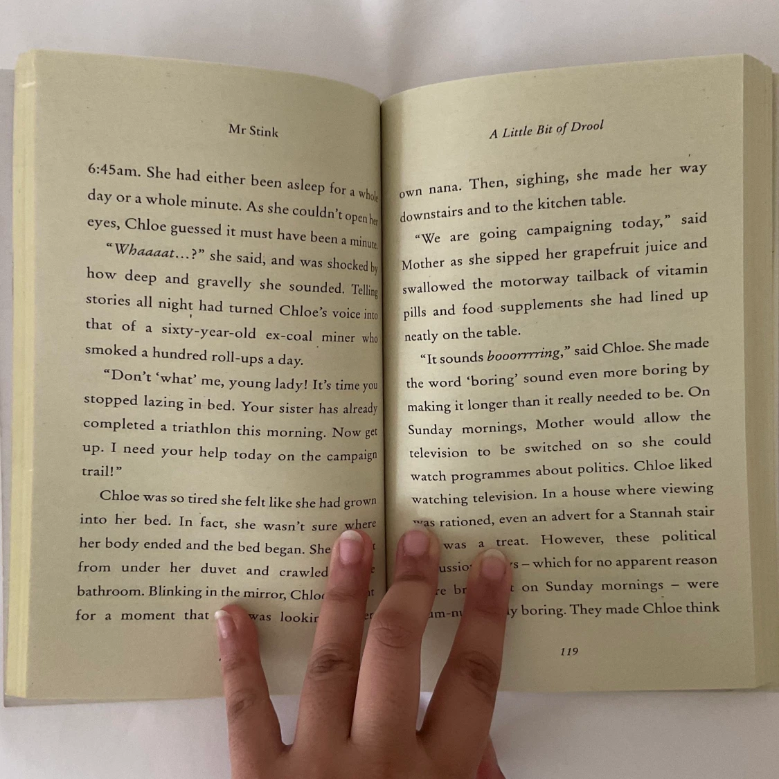 BOK Mr Stink | David Williams | Engelska - 90