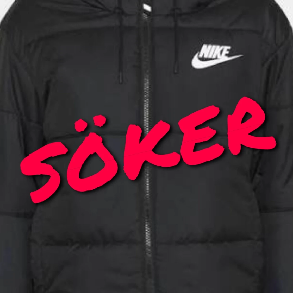 Söker en Nike Vinterjacka!