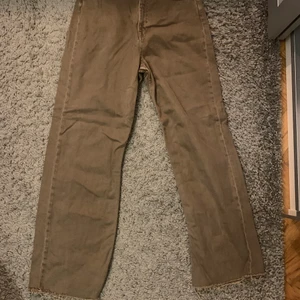 Zara byxor oanvända - Säljer oanvända zara byxor i färgen mocka grön. Modell croppade