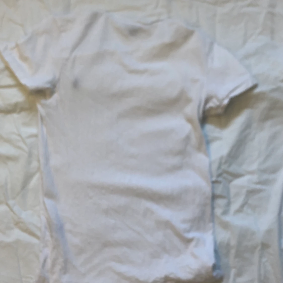 Polo Ralph lauren t-shirt - 91