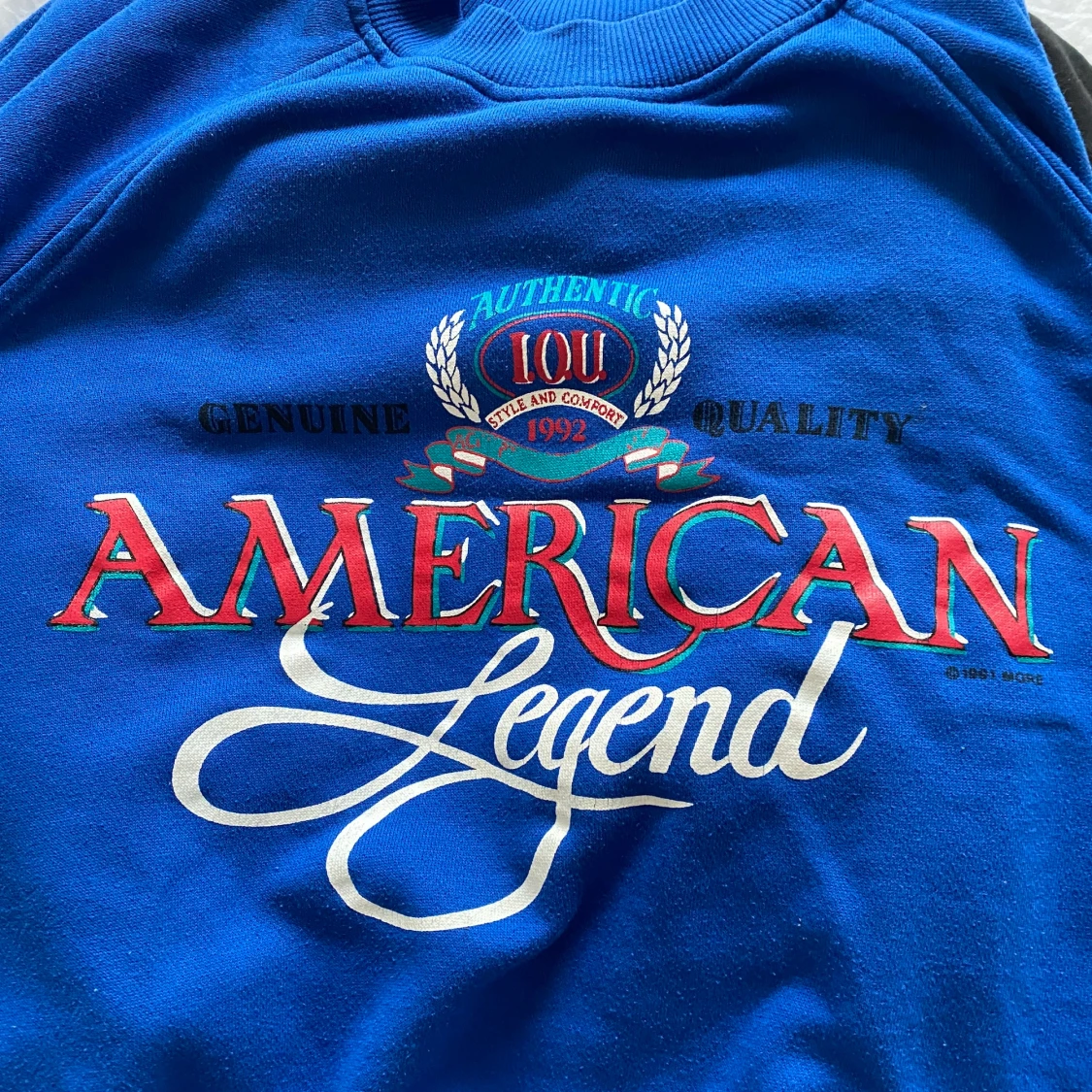 Blå sweatshirt - 91