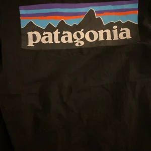 Patagonia t-shirt - patagonia t-shirt jag köpte för ett tag sen i malmö, kommer inte till användning. 