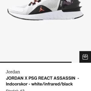 JORDAN X PSG REACT ASSASSIN - Indoorskor - Köpte ett par träningsskor för över ett år sedan, aldrig använda, köpta på Zalando. Nypris runt 1,400:-, säljer för 1,100:-