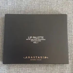 Anastasia lip pallete with brush. Mix the colors to get a perfect match. Palleten är svårt att hitta. Aldrig använt. Om ni har några frågor så är det bara att kommentera eller skicka ett meddelande. Väger 226.8 g.