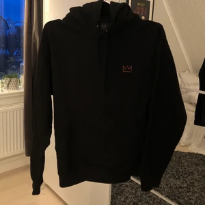 Hoodie HOV1 - Hoodie från Hov1s ”Until next time tour”- turné. Använd, men i fint begagnat skick. Köpt för 600kr. Säljer då den har blivit för liten :(
