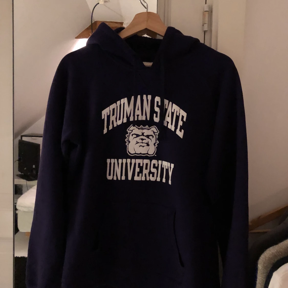 Vintage champion collage hoodie 