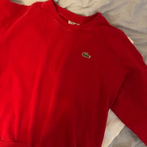Lacoste sweatshirt - Lacoste sweatshirt strl 5 (sitter som S)