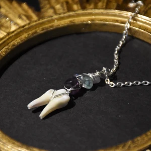 Halsband tand - Halsband med gristand och äkta flourit. Silvrig kedja. 