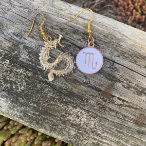 Scorpio örhängen  - fina örhängen med zodiac signet scorpio och en cool drake