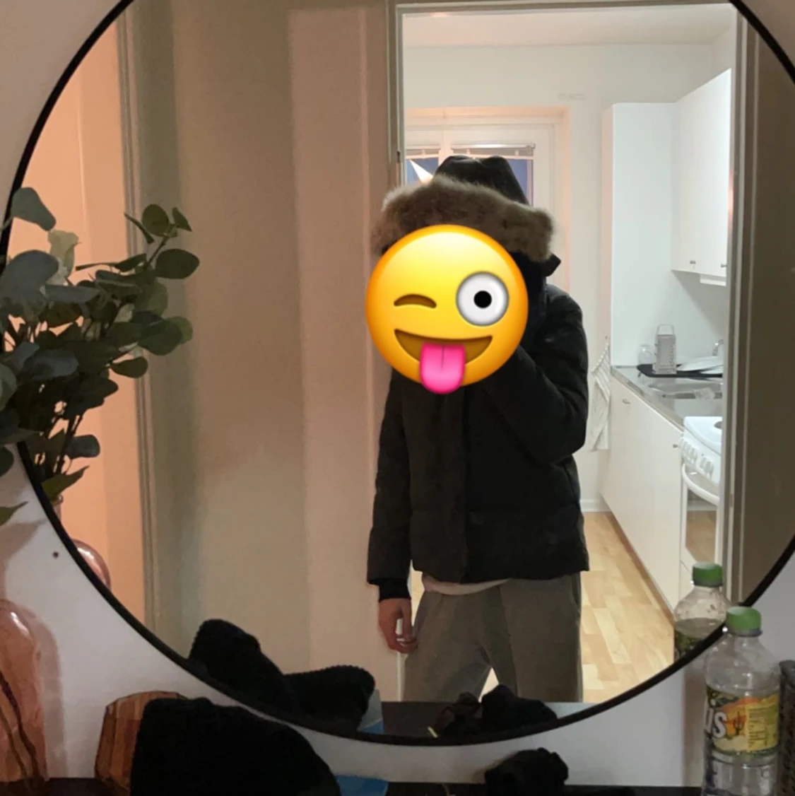 Canada goose stl M - 90