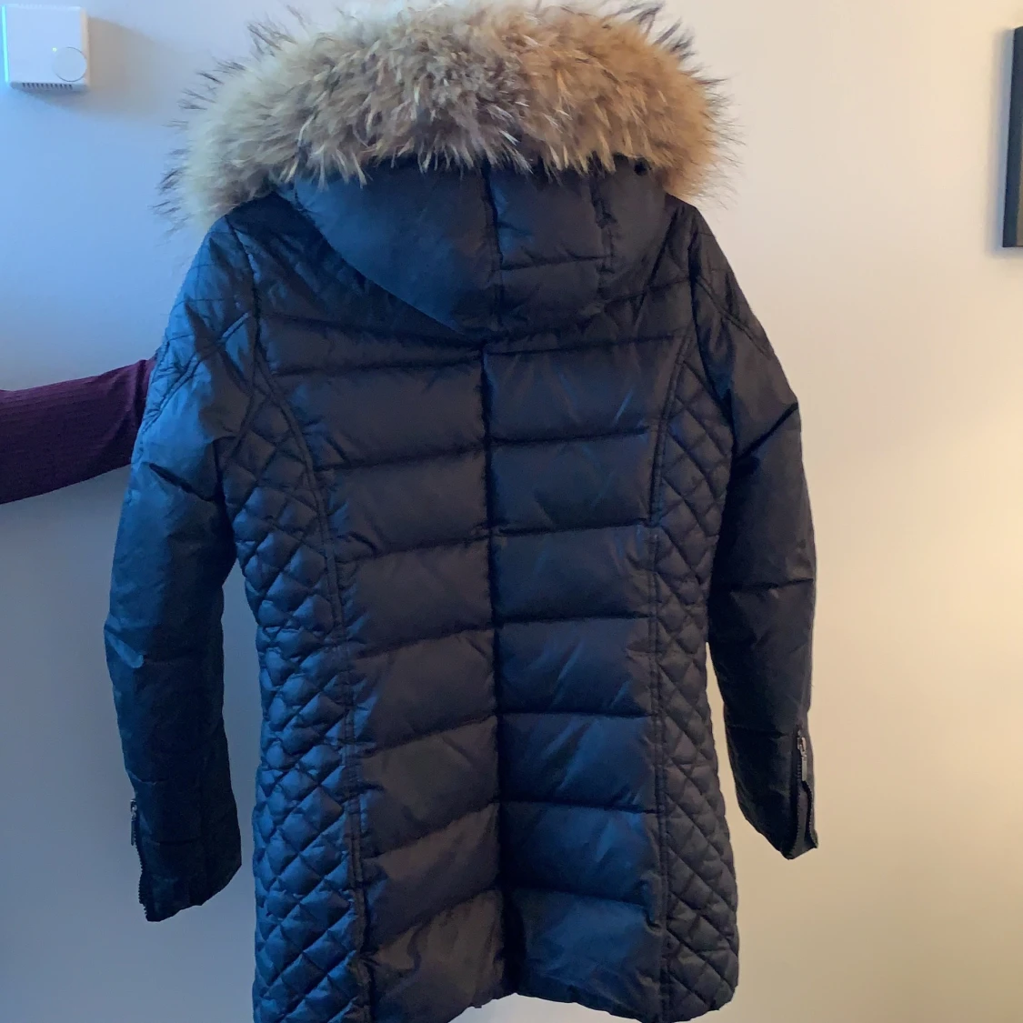 Rock and blue jacka - 91