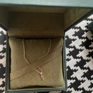 Maria Nilsdotter halsband - Tiny poison arror silver. Köpt för 1695kr, den långa kedjan.