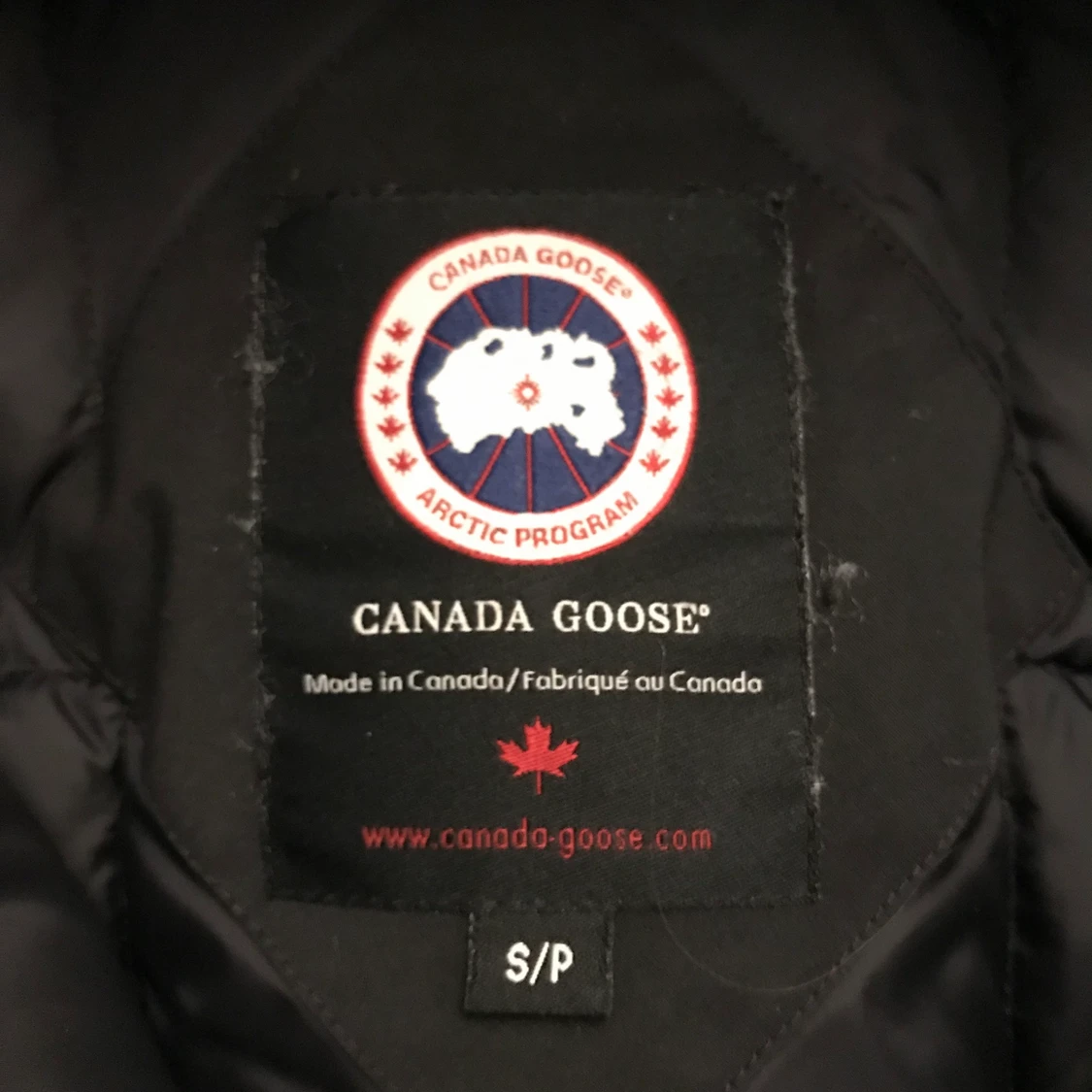 Canada Goose  - 91
