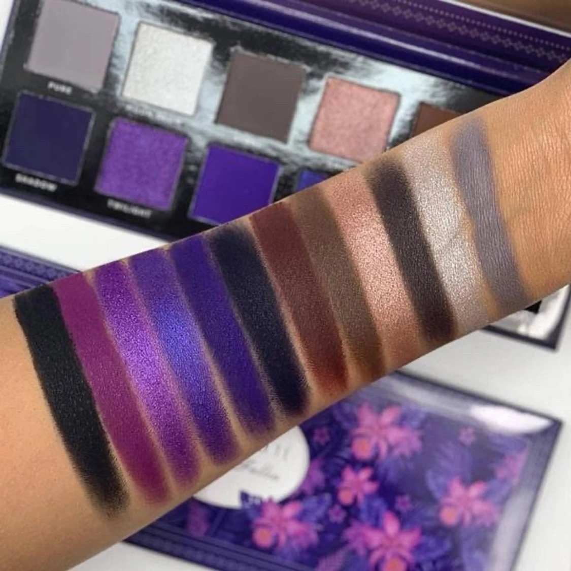 Ace beauté fallen paradise - 91