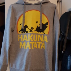 Grå Hoodie - Mysig grå hoodie i storlek XS-S. 