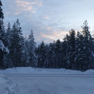 Crocker jeans W 24 L 31 - Intressekoll på mina snygga svarta crockerjeans som jag köpt begagnat men som är i helt nyskick med lappar kvar och allt! Skriv gärna om ni är intresserade så lägger jag ut bild hur de sitter på💗