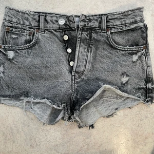 Shorts - Zara shorts in size small