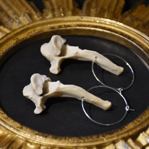 Örhängen ben  - Hoop örhängen med ben från hare. Nickelfria  :) 