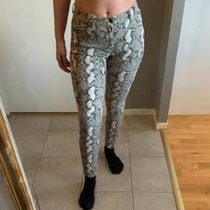 Orm byxor  - Ormbyxor