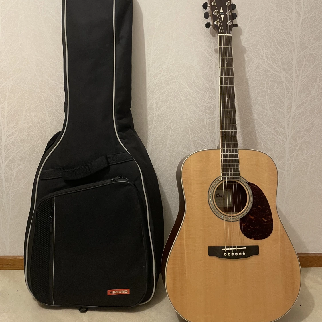 Akustisk gitarr med väska