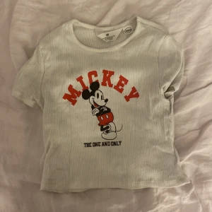 Magtröja t-shirt  - Mag t-shirt med Musse pigg tryck på magen. Små fläckar, för små för att synas på kort.