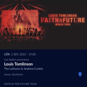 Hej jag säljer nu min konsertbiljett till Louis Tomlinsons konsert i Sverige då jag inte har möjlighet att gå. Det är en sittplatsbiljett på rad 3 så iprincip på ståplats😊