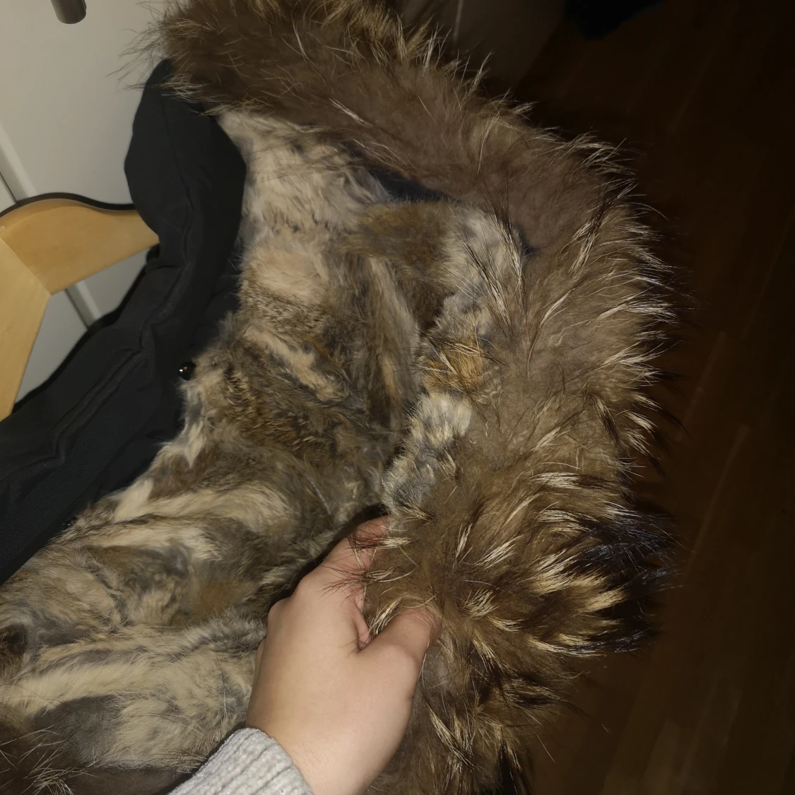 Rock and blue jacka  - 91