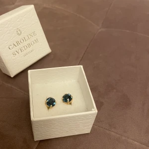Blåa örhängen - Örhängen från Caroline Svedbom i blå färg som ser lite mörkare/ljusare ut beroende på ljuset! Säljer för 300kr💞