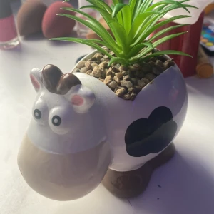 Supersöt ko!  - Nyskick 💕