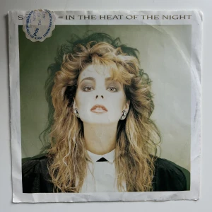 Vinylskiva  - Sandra vinylskiva  ⚠️undantag för denna skivan⚠️