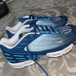 Nike airmax tn  - Nike tn skor,aldrig andvända,helt nya och i väldigt bra skickt, kan diskutera priser.