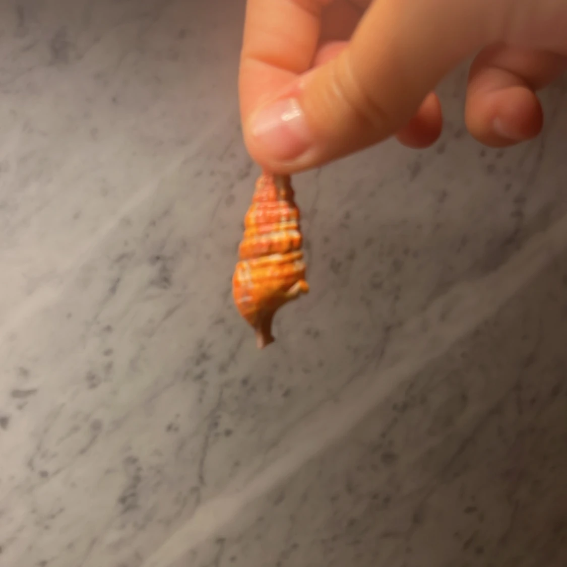 fin orange/gul spiral snäcka❤️🧡💛