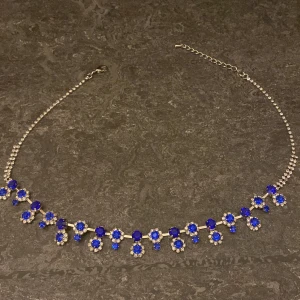 Halsband  - Halsband med blå och silver detaljer. Den har aldrig använts. Kontakta vid frågor hjärta💙