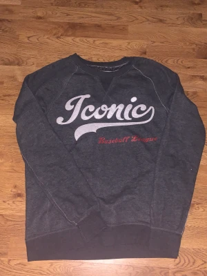 Grå tjocktröja - Mörkgrå tjocktröja ifrån lager 157 med vit text på framsidan. Väldigt skön och har bara använt den några gånger! Priset kan diskuteras❤️