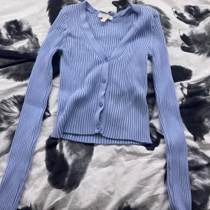 Blå small blues  - En vanlig blå blues