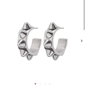 Örhängen  - Säljer mina edblad örhängen. De är knappt använda och behlver därför en ny ägare🙏🏼💕