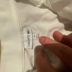 2st Lacoste pikes  - Båda två för 150kr riktigt schyssta till sommarn eller för julklapp. Båda är 164