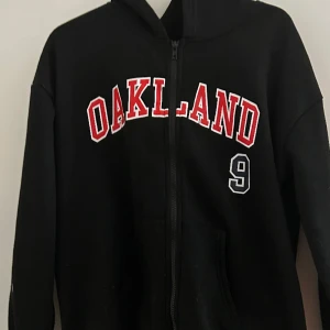 Luvtröja - Jätte skön luvtröja  Inte för tunn inte för tjock passar med de mesta. Bra skick tvättas o stryks innan den skickas 