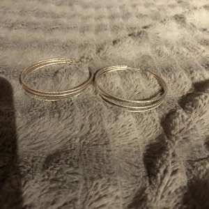 Örhängen - Fina örhängen. De är använda men spritas såklart innan❤️